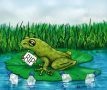 frog