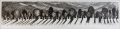 black and white etching / dimensions:  48 x 9.5 cm